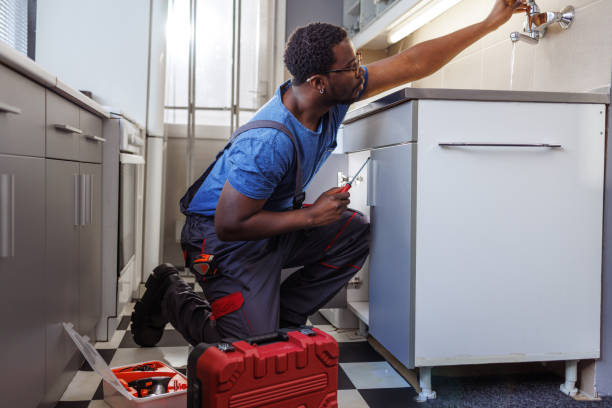 Best Garbage Disposal Repair and Installation  in Darien Downtown, CT